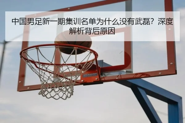 中国男足新一期集训名单为什么没有武磊？深度解析背后原因